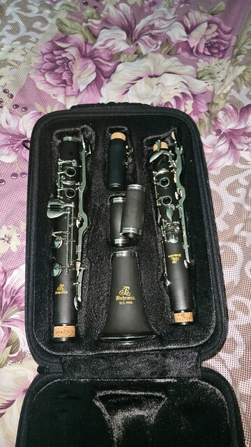 BCL 400 SOL KLARNET HİÇ KULLANILMADI