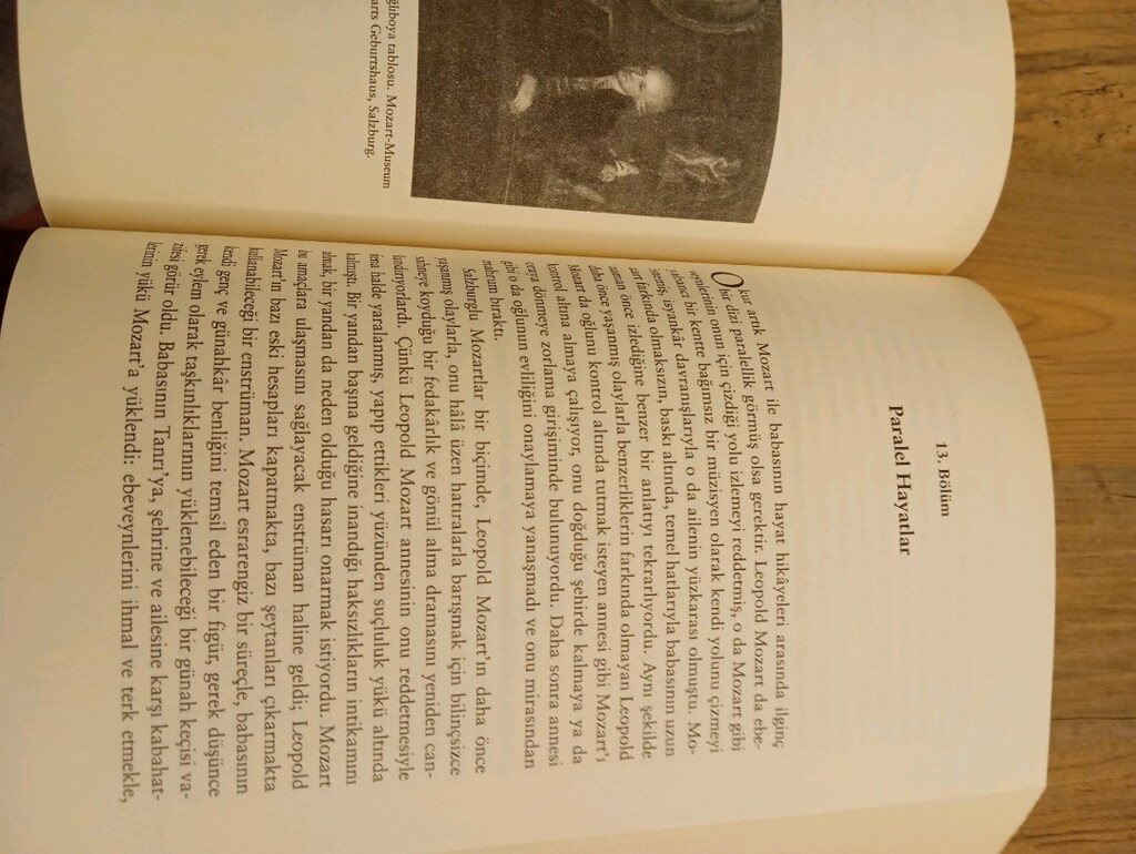 Mozart Ciltli Şömizli 748 sayfa - 8