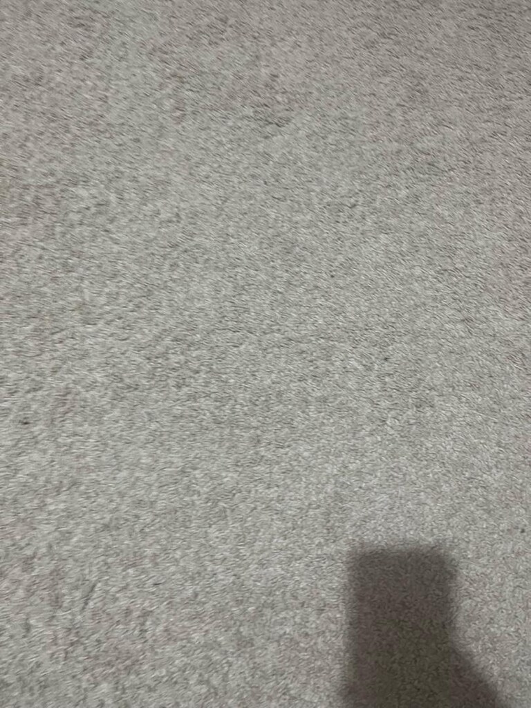ikea halı - 2