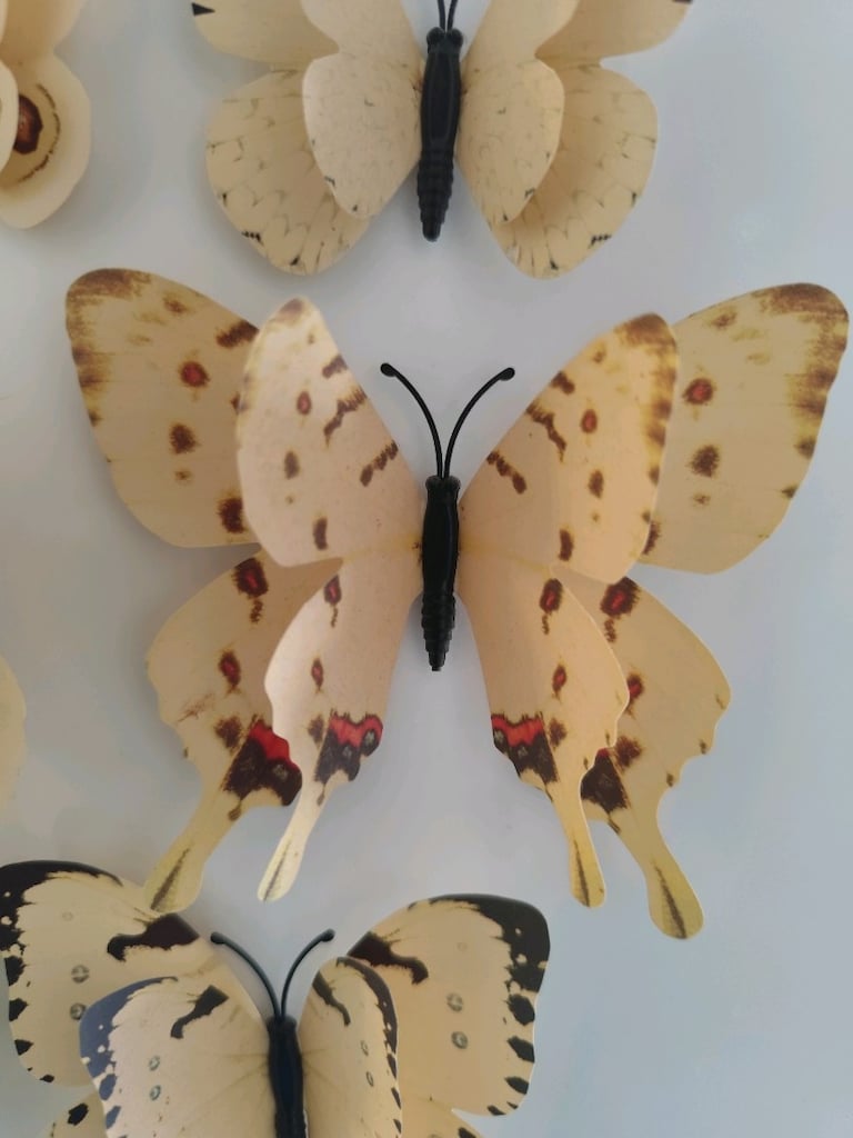 8 adet KELEBEK MAGNET BUZDOLABI SÜSÜ SET dekoratif - 3