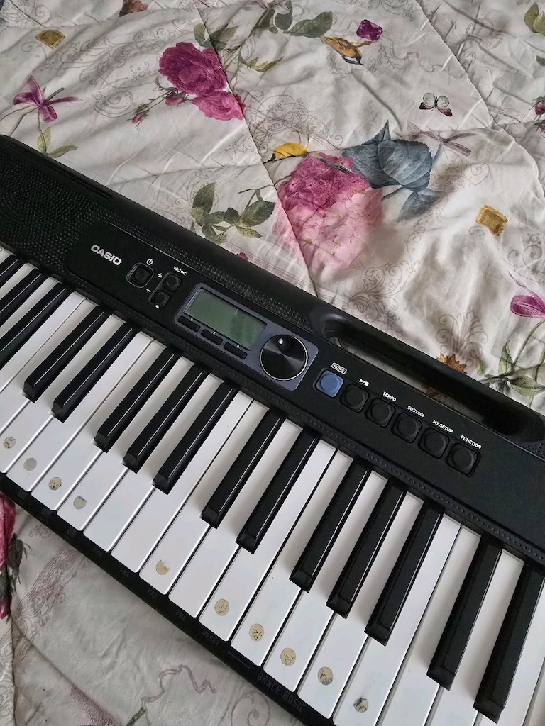 Casio org-piyano