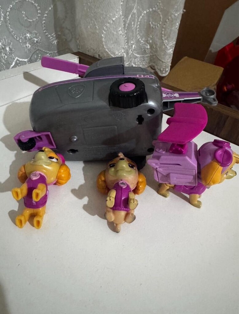 Paw Patrol sky - 5