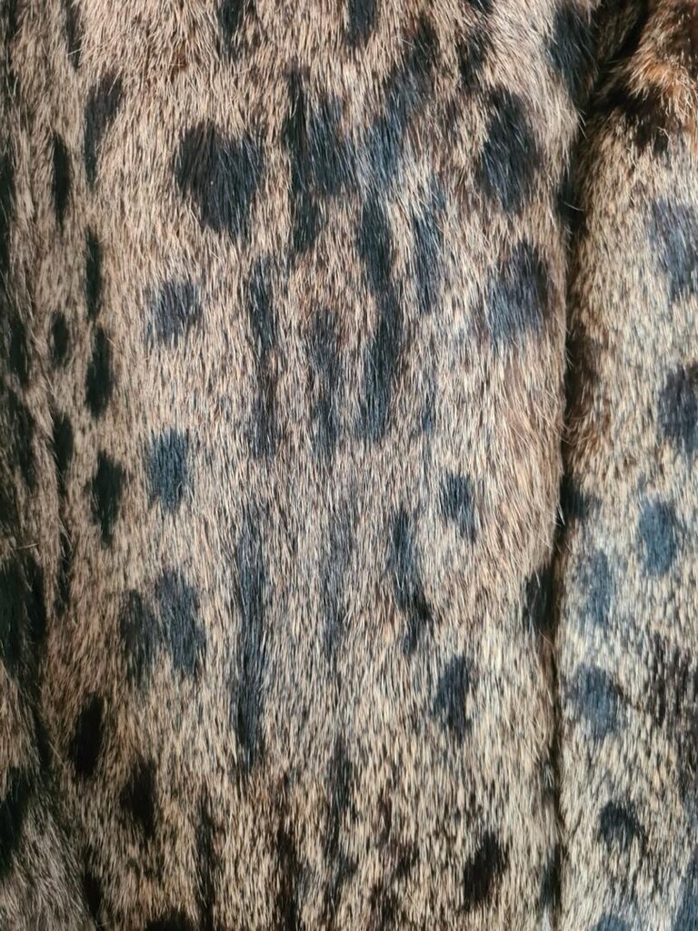 orjinal leopar - 4