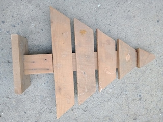 çam ağacı