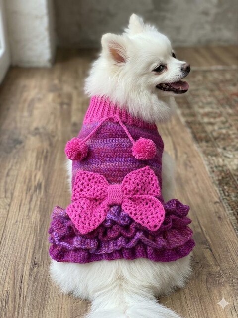 Küçük Irk Köpek Kıyafeti