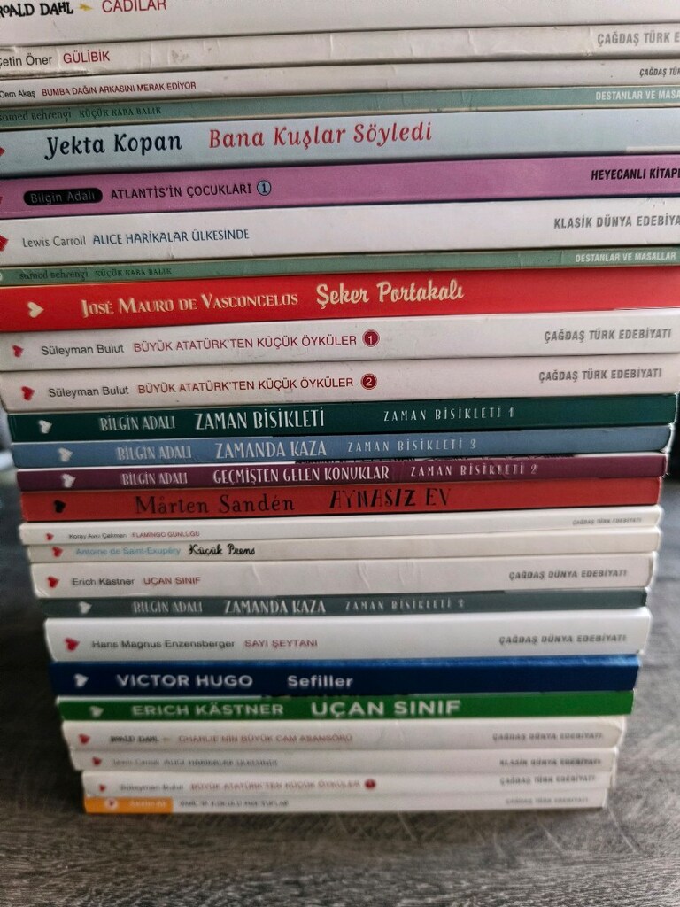 can çocuk kitapları roman hikaye ilkokul ortaokul okuma kitapları - 2