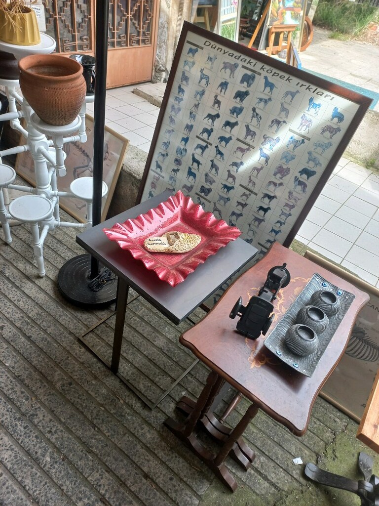 Tablo & Köpek Irkları - 3