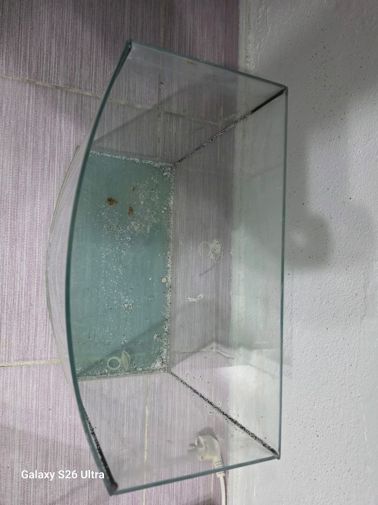 Minimalist Kavisli Cam Akvaryum - 2