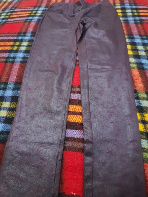 bordo tayt