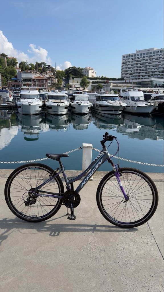 Kron TX 100 bisiklet