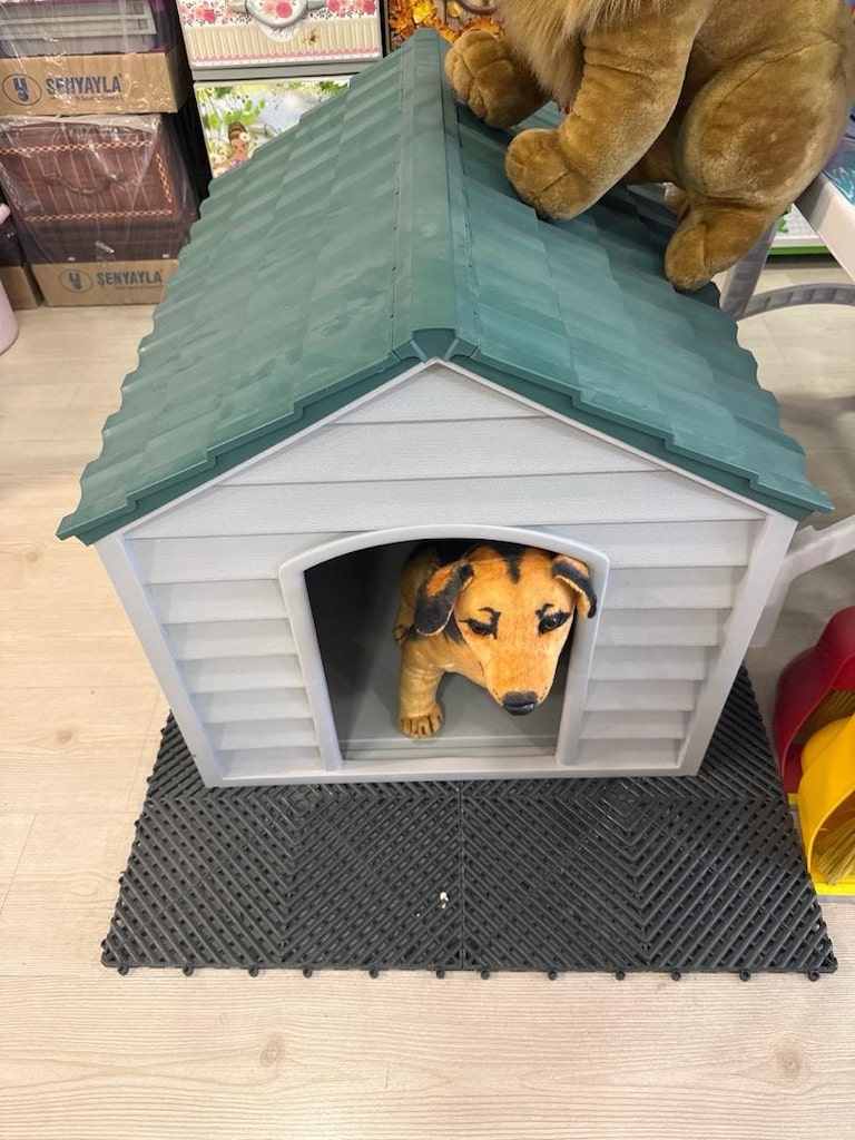 PET KULÜBE - 4