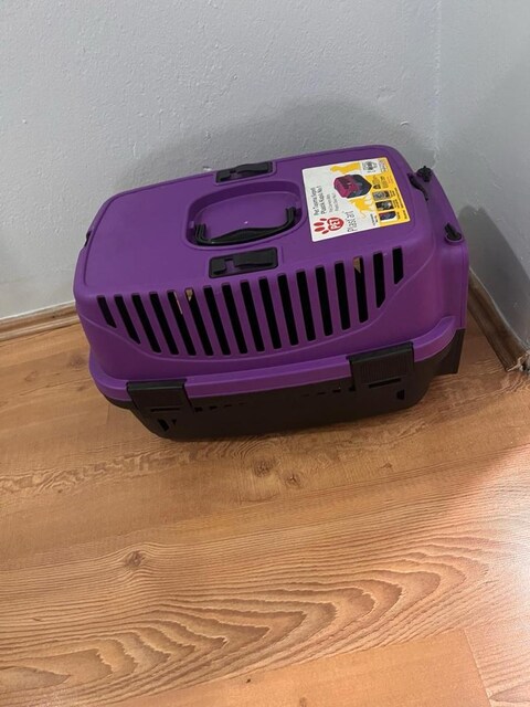 sıfır kedi taşıma puseti