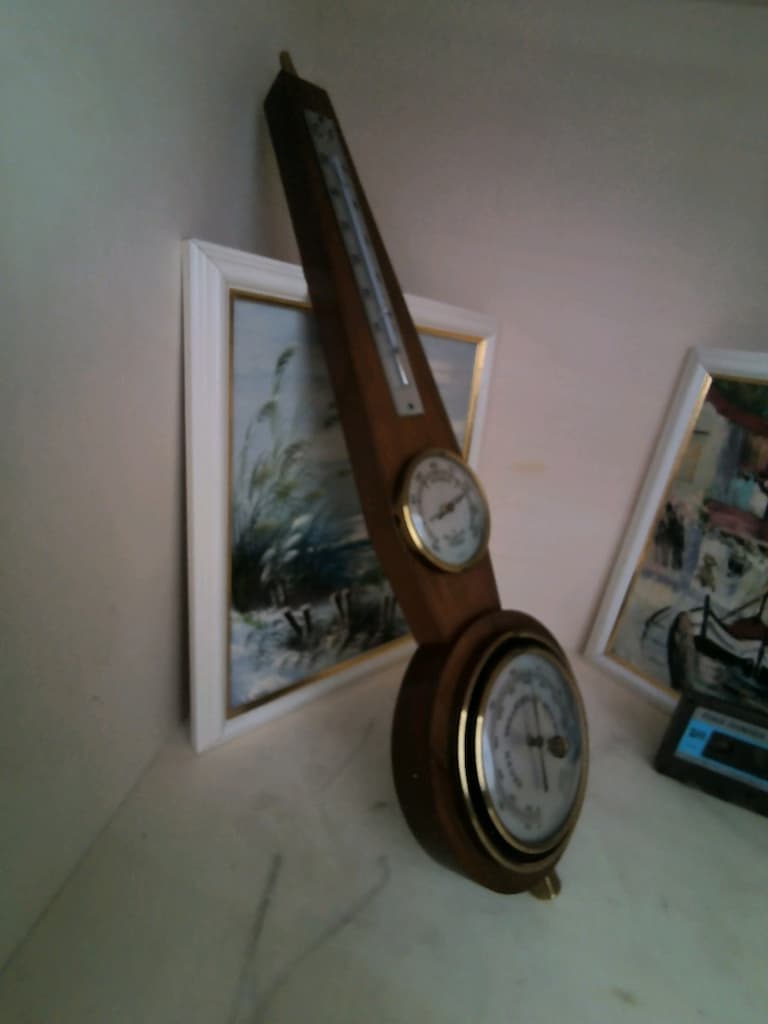 holandali İskandinav - 2