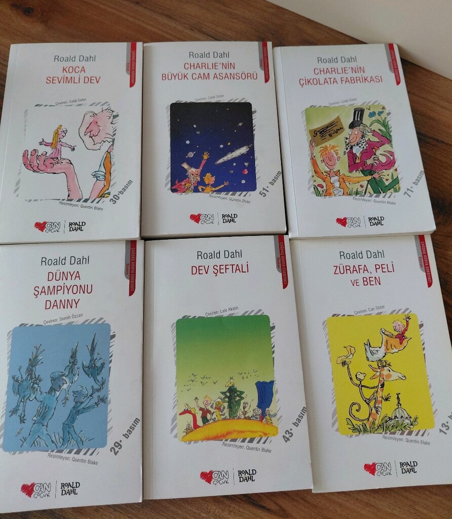 Rold Dahl 6 lı kitap seti - 5