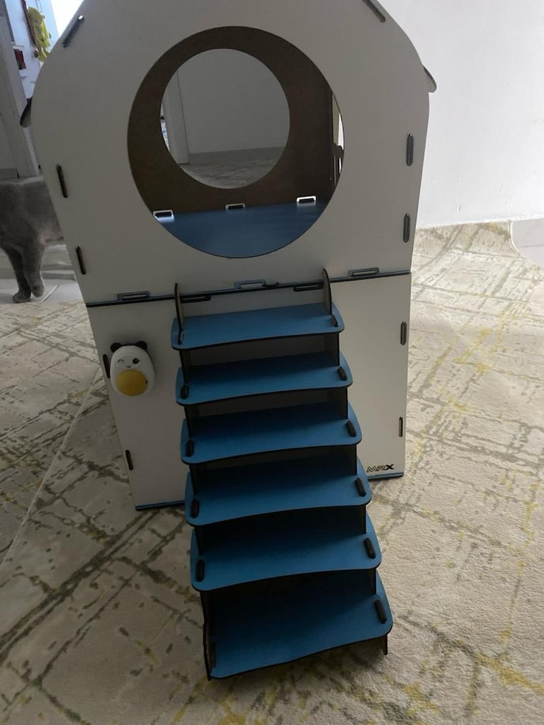kedi evi - 2