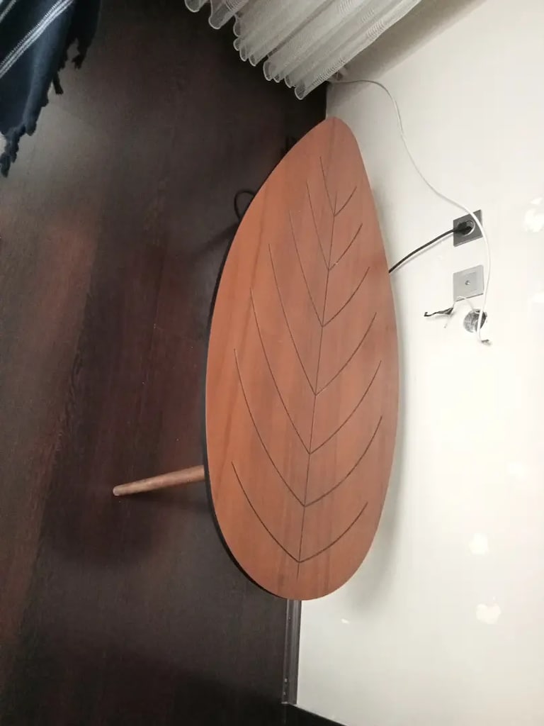 Salon yada oturma odası sehbasi