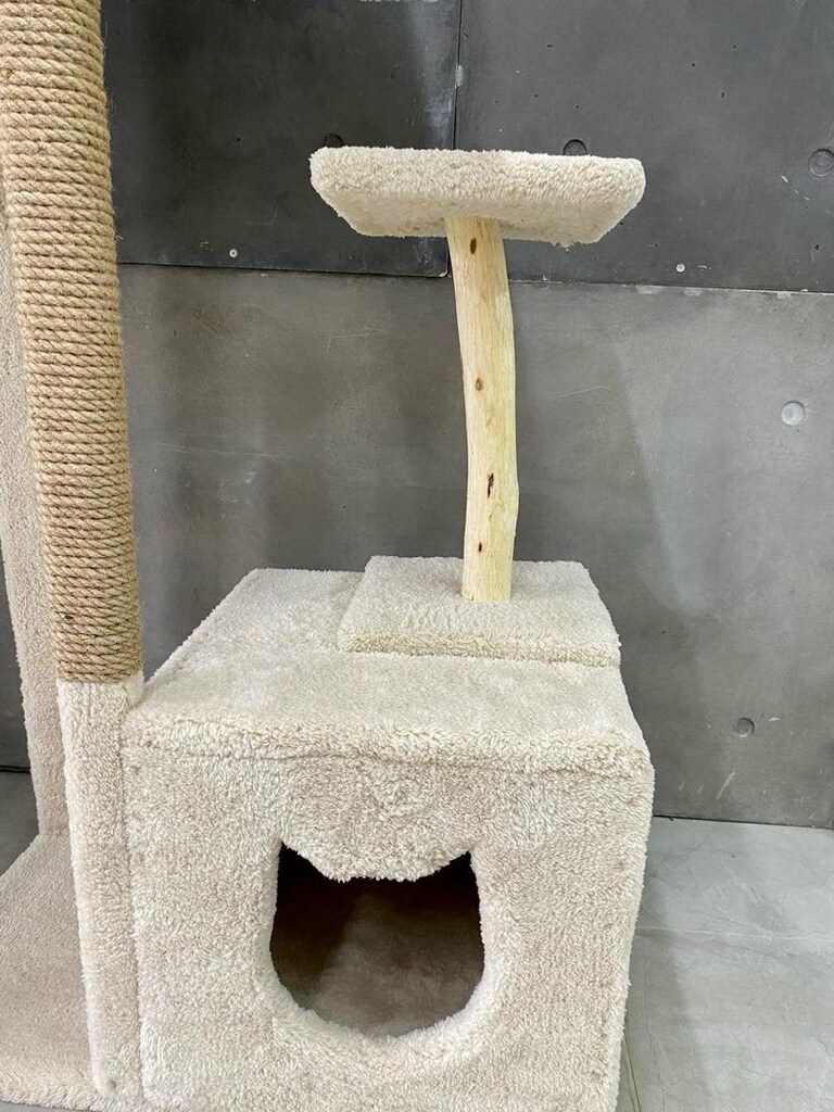 kedi evi - 4