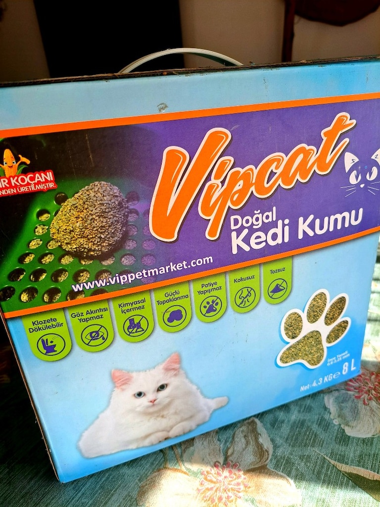 kedi kumu