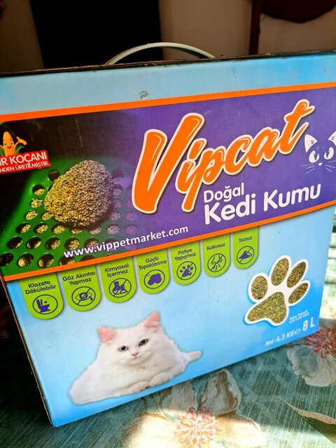 kedi kumu