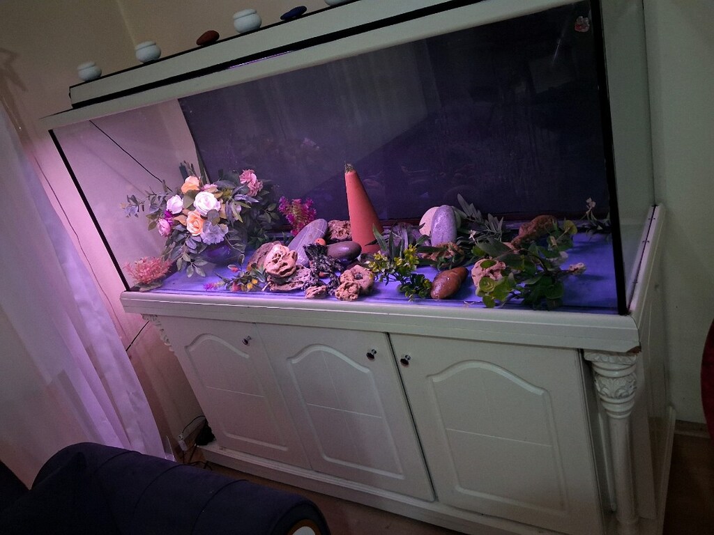 uzunluk 1.50 en 52 derinlik 60 cm akvaryum - 2
