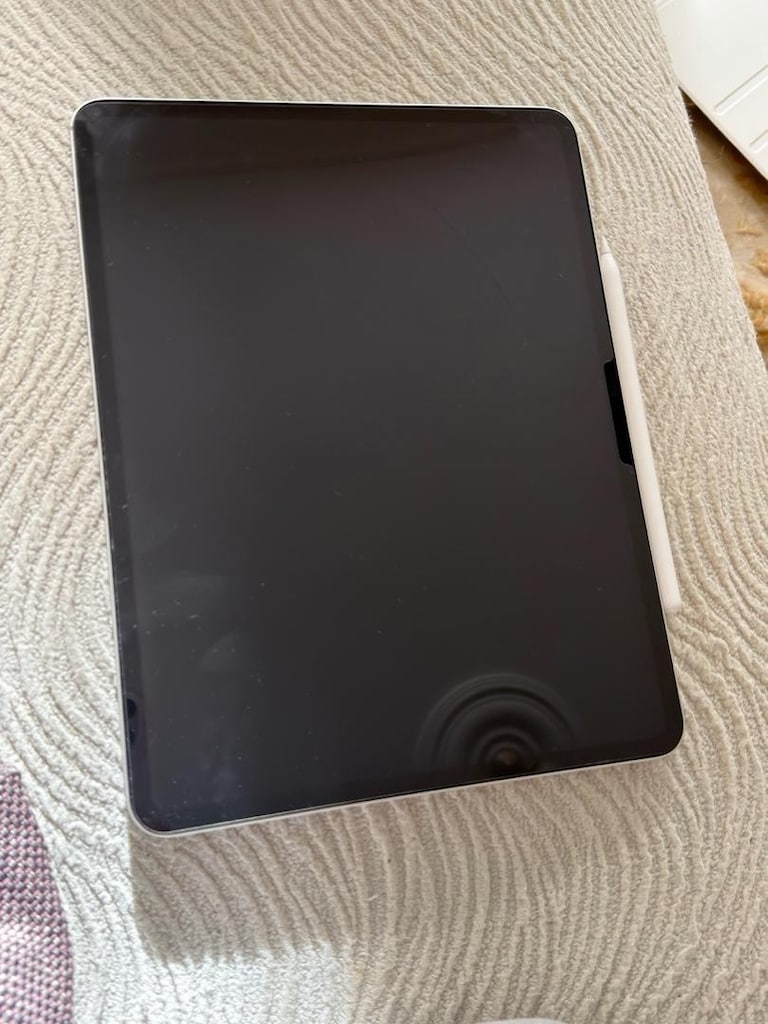ipad pro m4 13inç 256 gb - 3