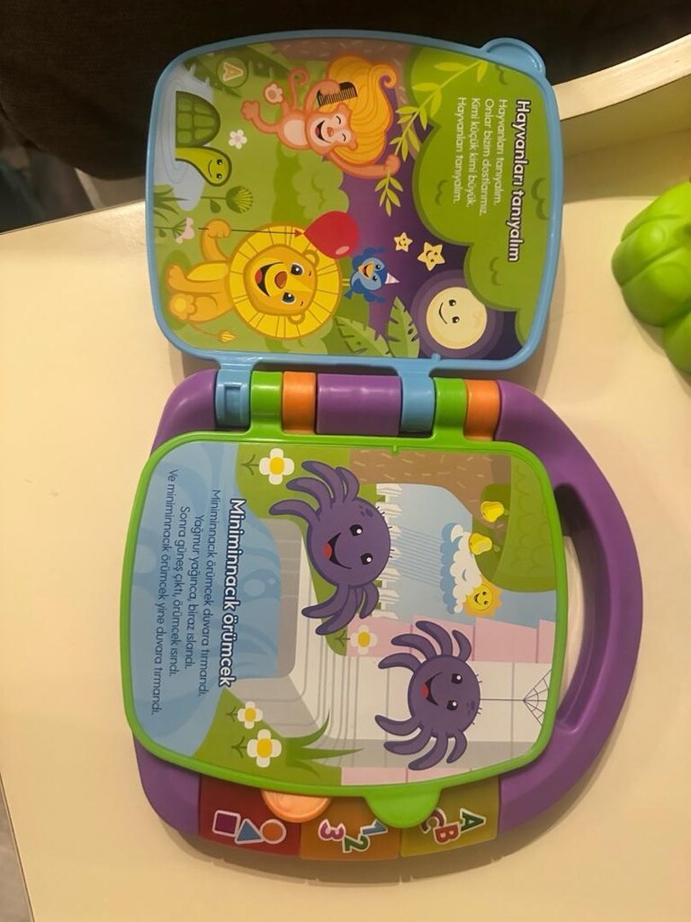 FİSHER PRİCE OYUNCAKLAR - 2