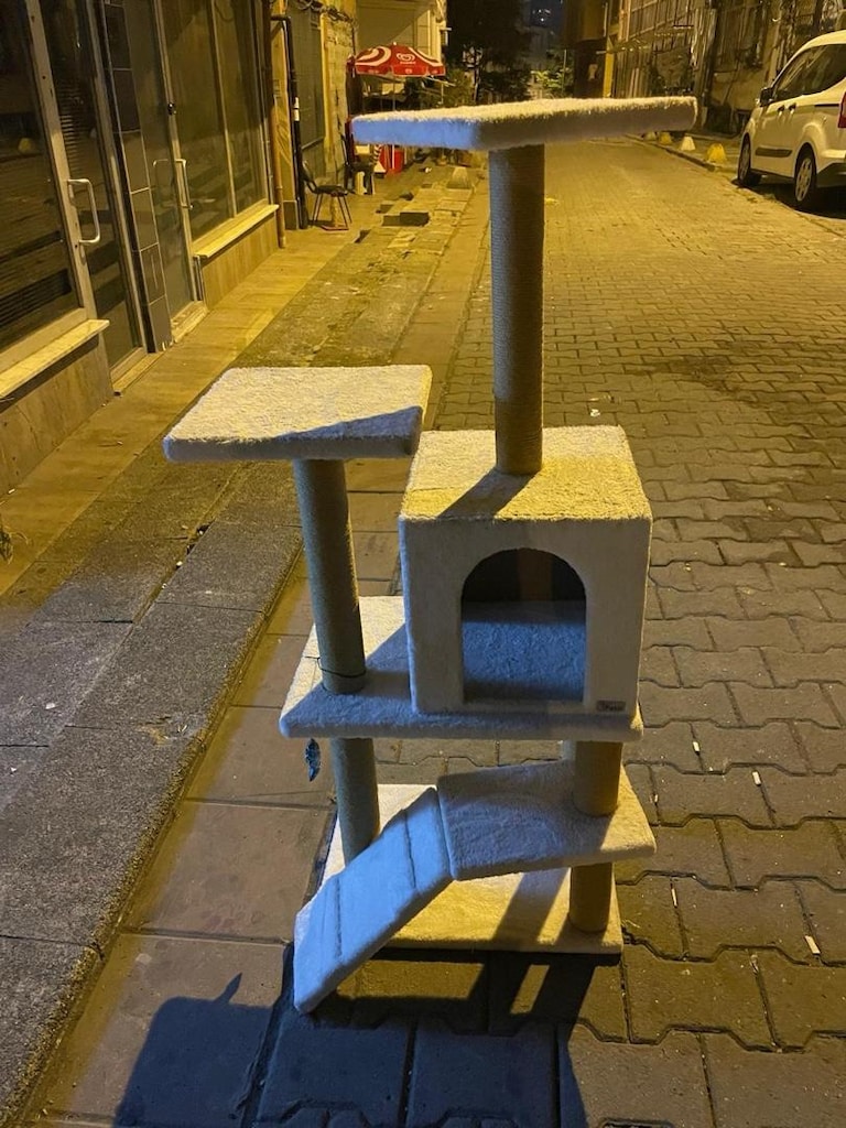 kedi Evi - 2