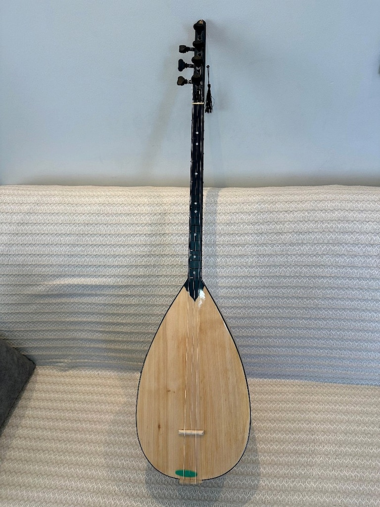 pırefesiyonel saz dır - 3