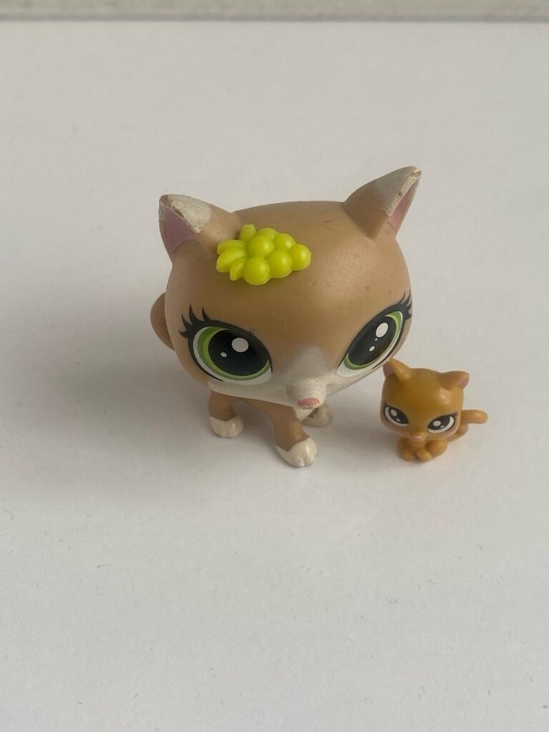 kedi minişler - 2