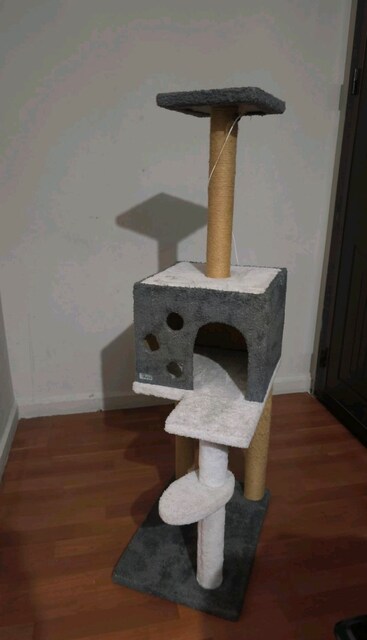 Merdivenli Kare Yuvalı Kedi Tırmalama Tahtası 124 cm Gri Cat House