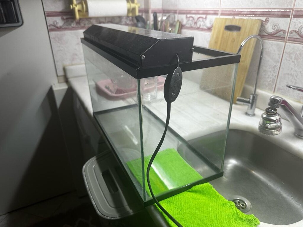 akvaryum - 2