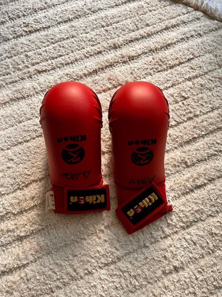 karate eldiveni - 2