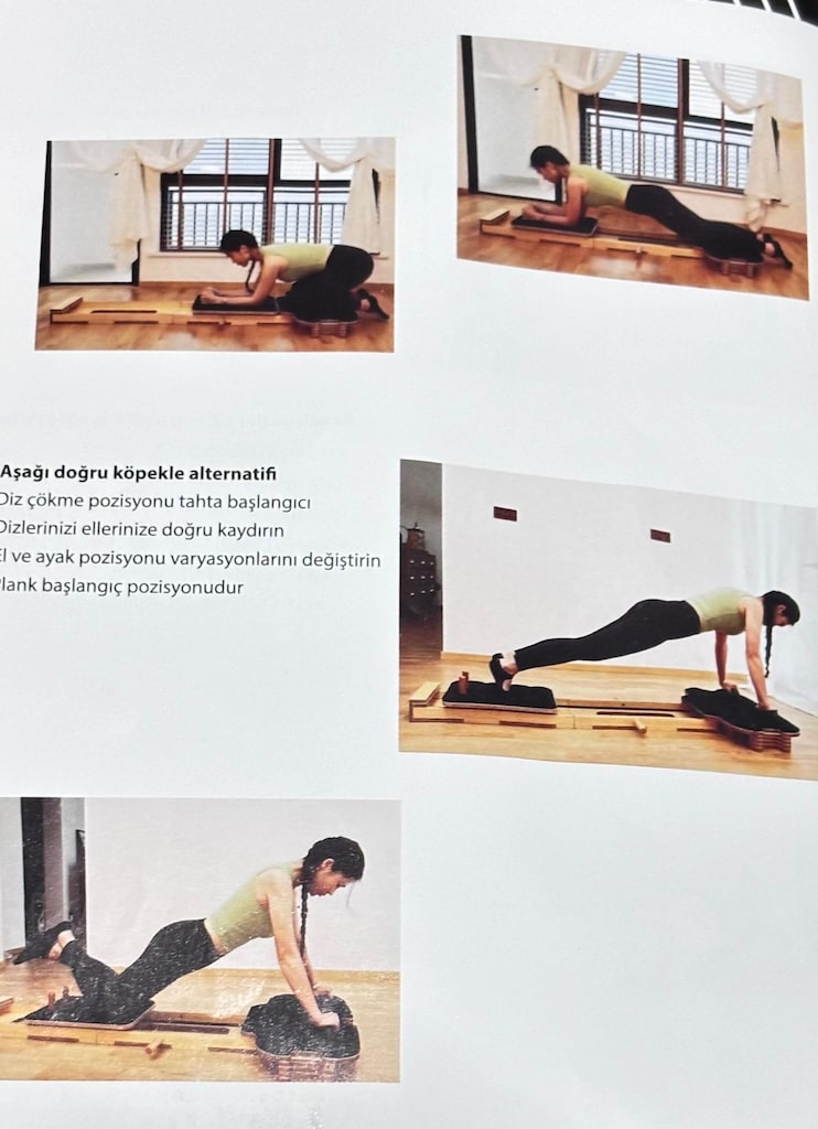 KOCHLER PLATES ALETİ - 2