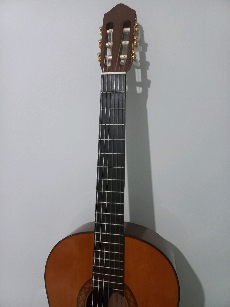 Yamaha Klasik Gitar - 9