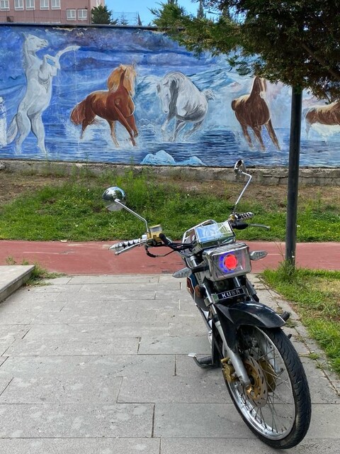 Acil Cg