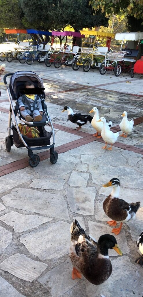 Alman Cruz bebek arabası - 3