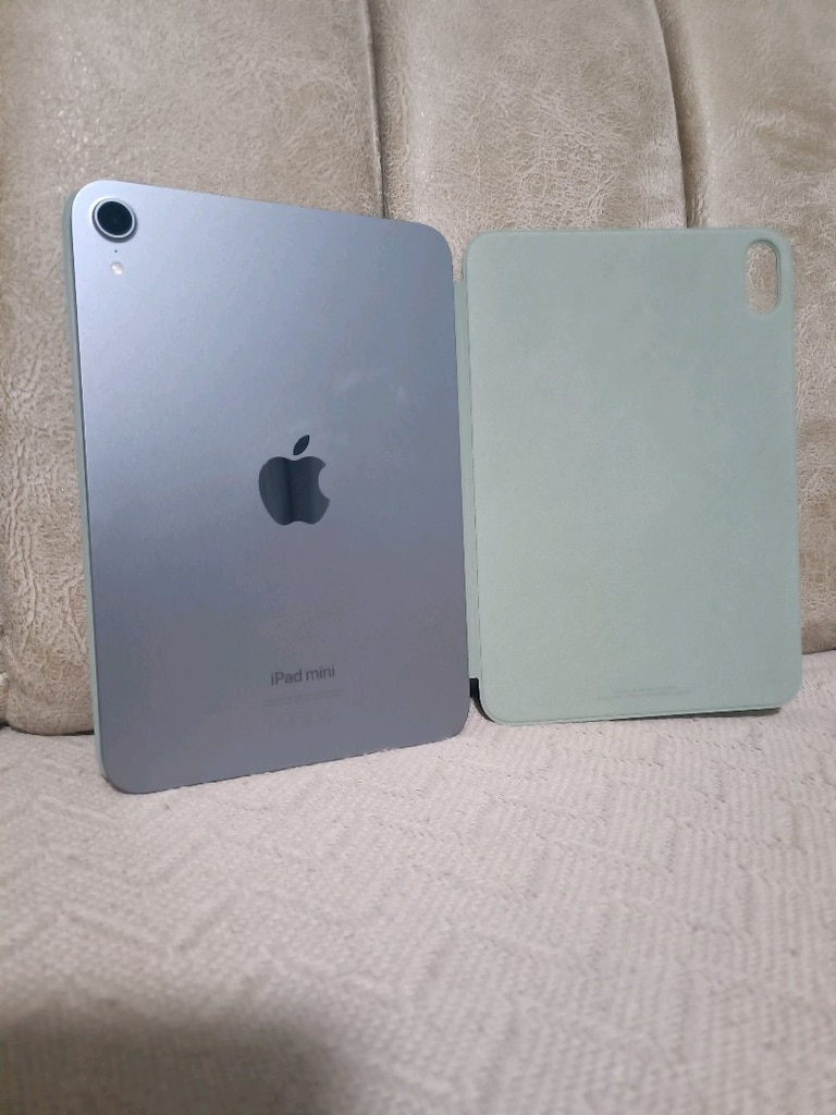 ipad mini - 4