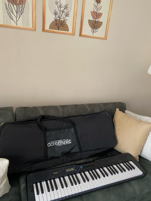 Casio 61 Tuşlu Org