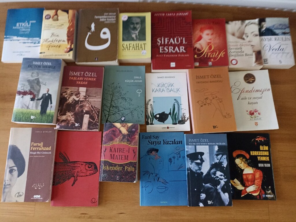 "22 Adet Temiz Durumda Roman, Şiir ve Düşünce Kitabı – Toplu Satılık" - 3