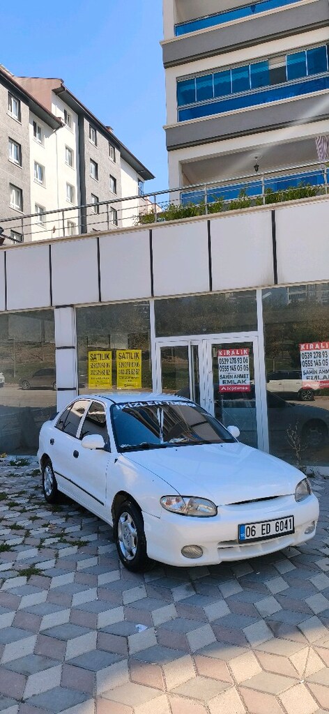 Temiz Yumurta Kasa - 7