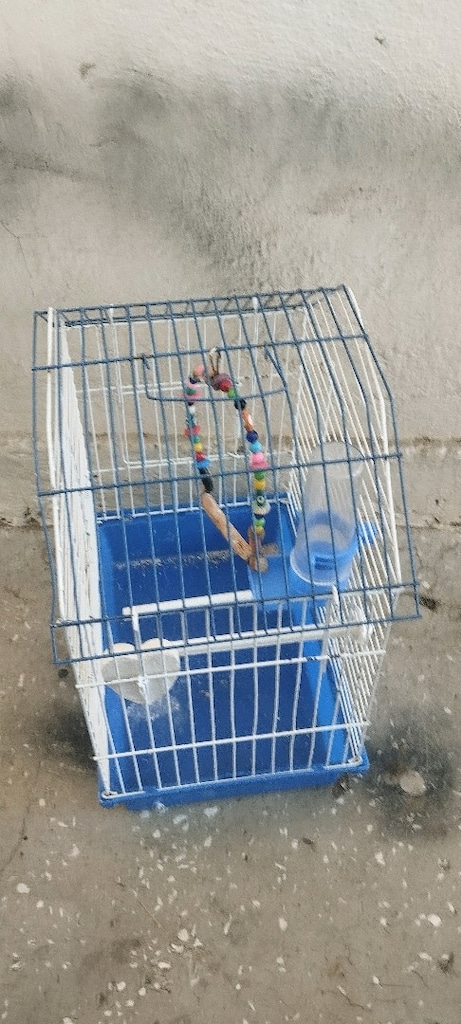 kuş kafesi genişlik 33 yükseklik 35 - 2
