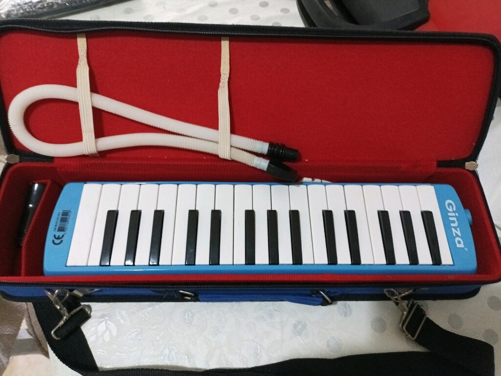 melodıka müzik aletı - 2