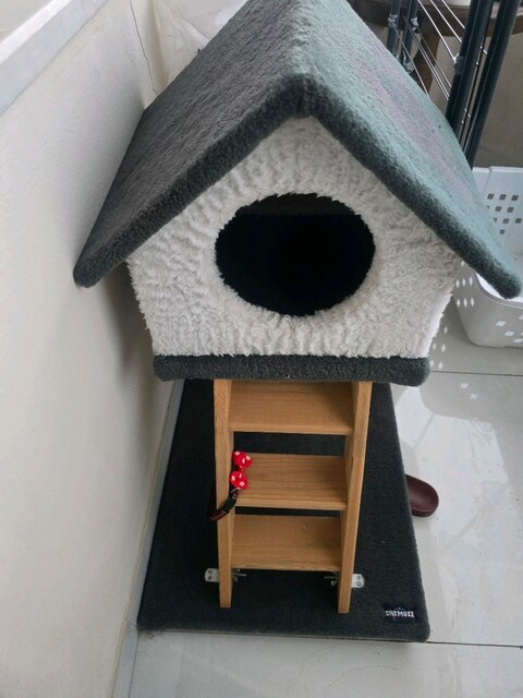 kedi evi ve tırmalama tahtası