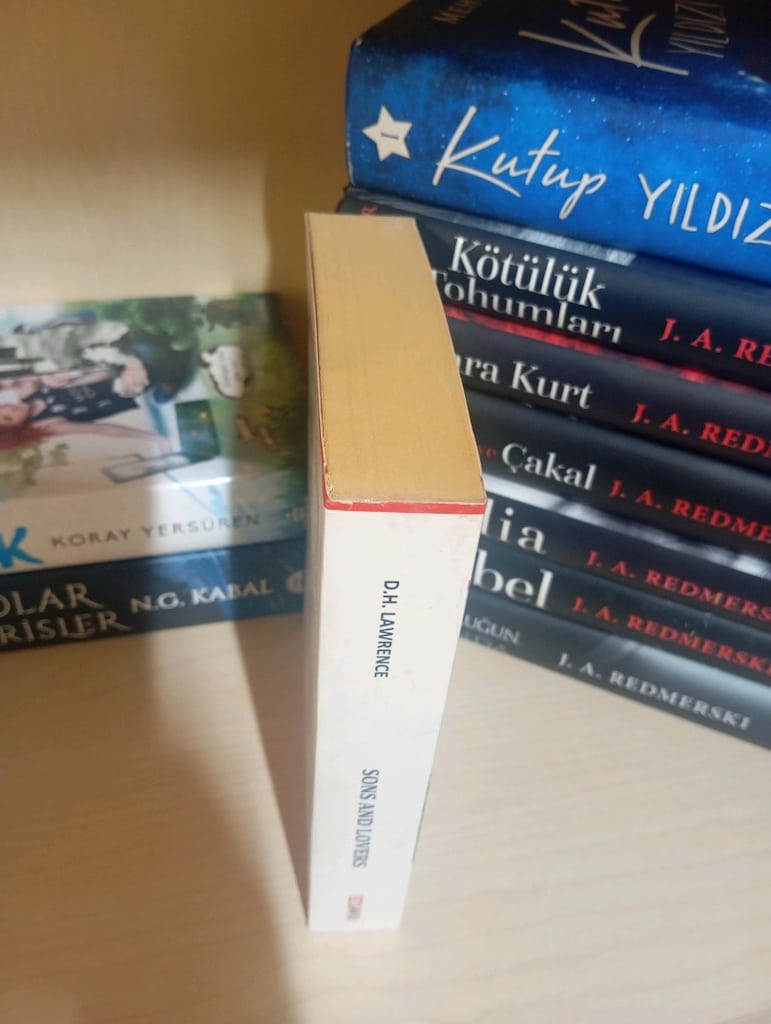 D.H.Lawrence Sons and Lovers Kitabı - 5