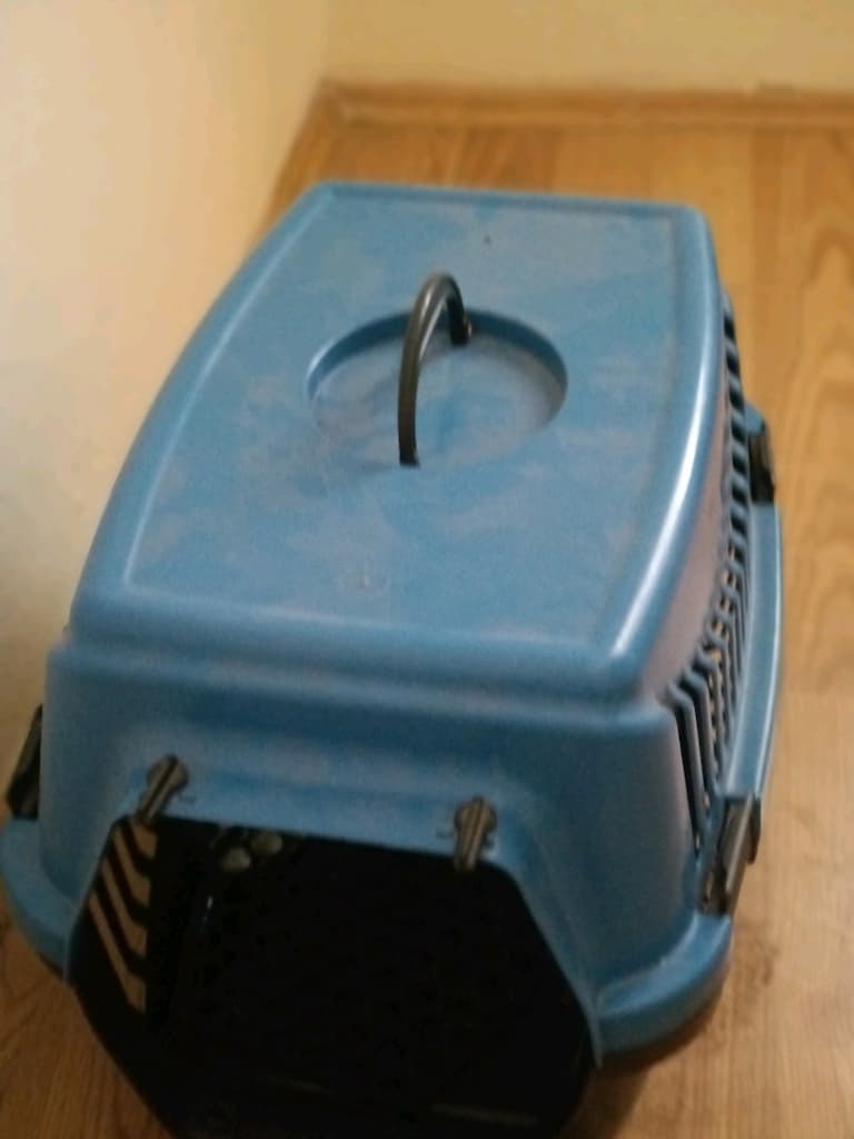 Cat box - 2