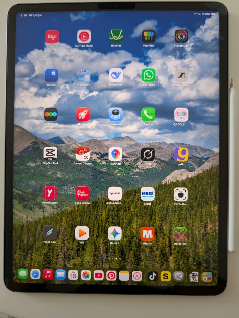 iPad pro 6