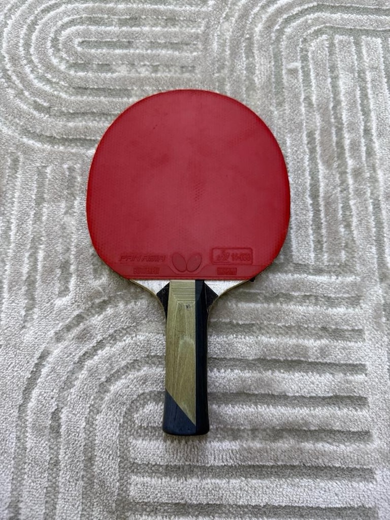 BUTTERFLY timo boll platin masa tenisi raketi - 2