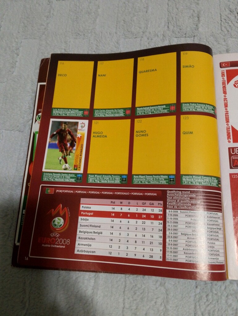 panini euro 2008 Avrupa şampiyonası - 3