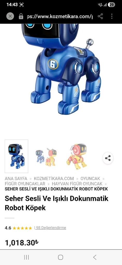 Robot Köpek - 6