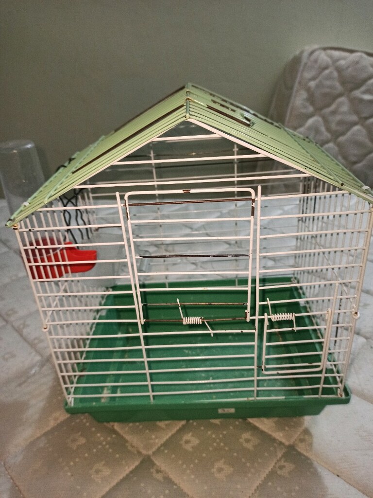 yeşil kafes - 3